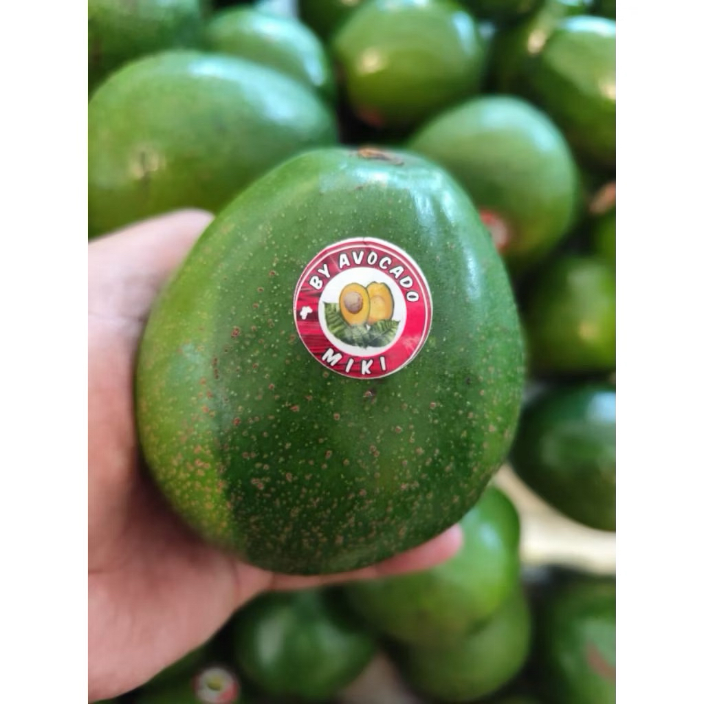 Buah Alpukat Miki Alpukat Terbaik Nusantara 1kg
