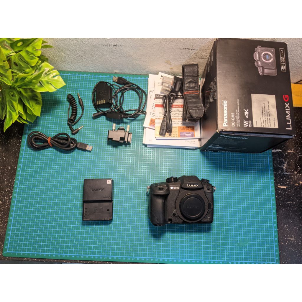 Lumix gh5 body only bekas
