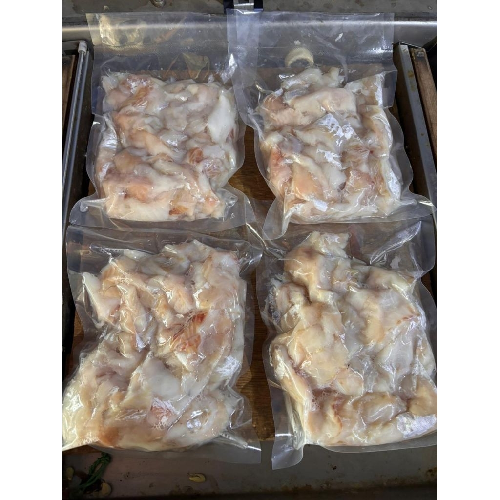 Tetelan ikan kakap putih