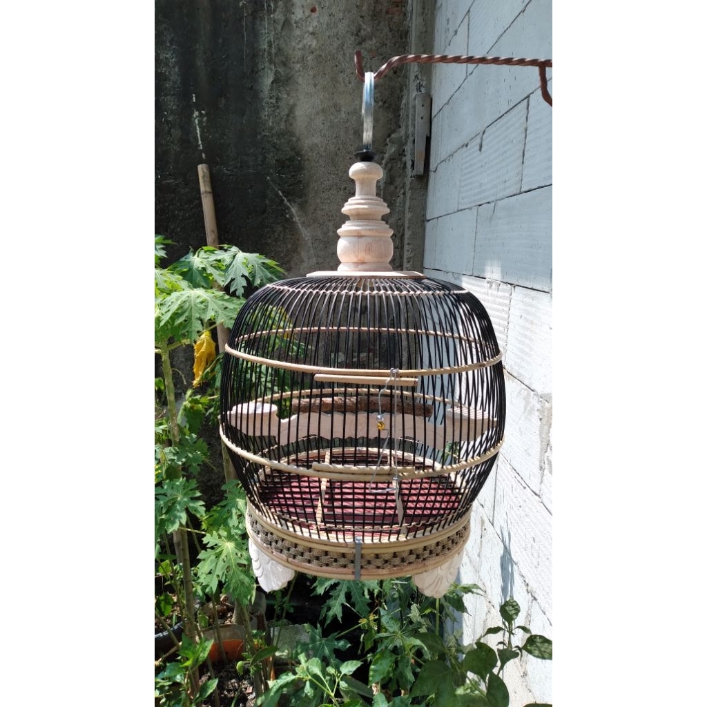 sangkar .minion perkutut