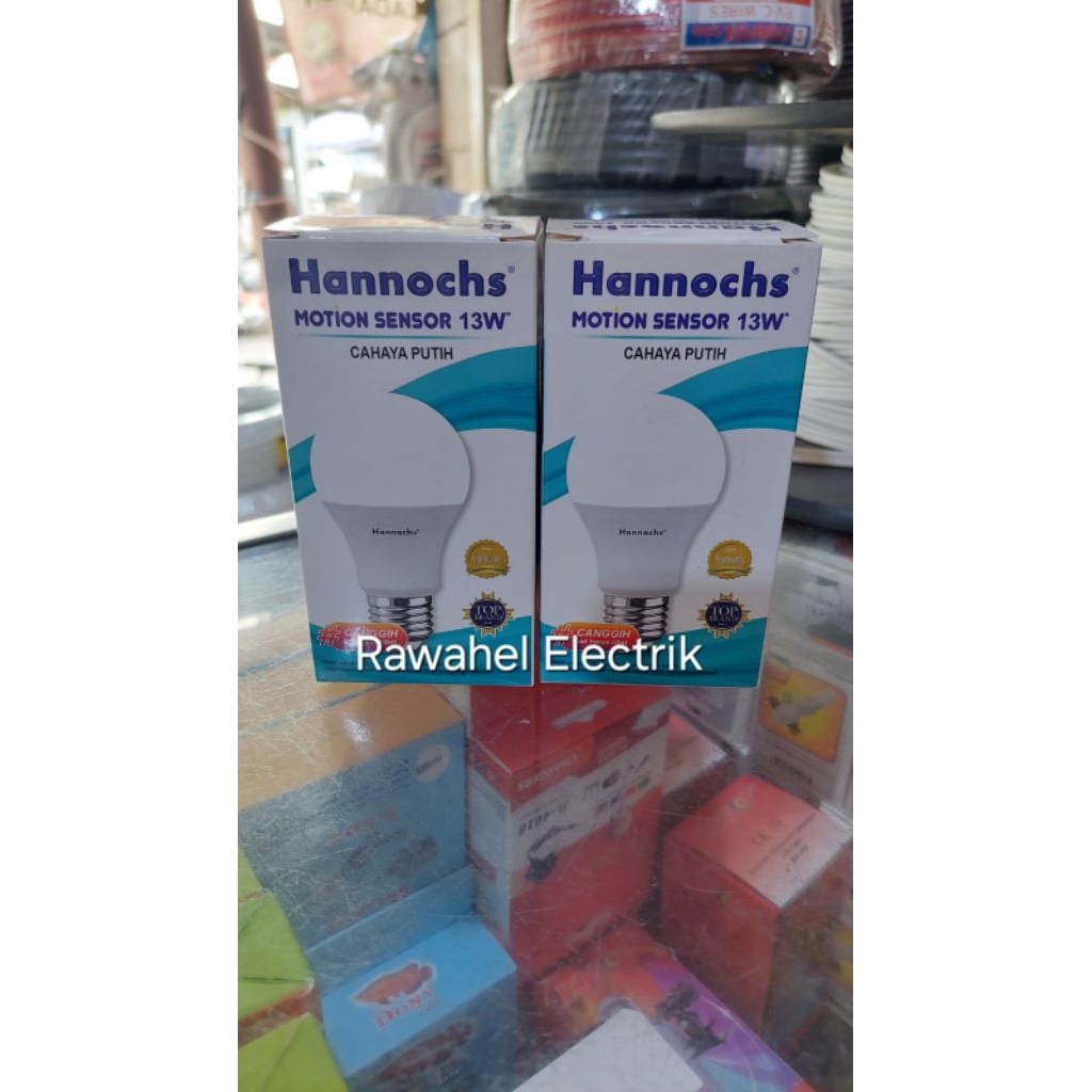 Hannoch Motion Sensor 13 Watt