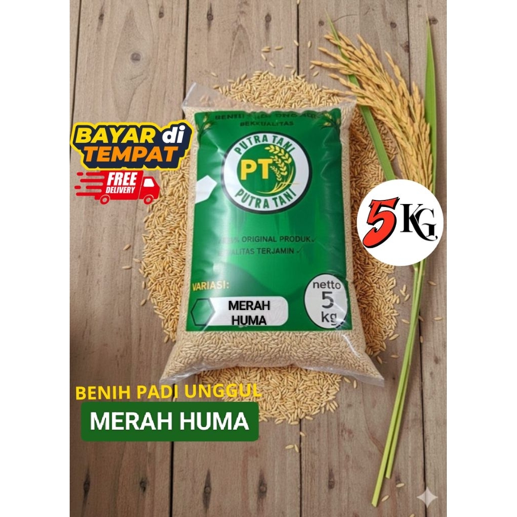 KUALITAS PREMIUM,(MERAH HUMA) BENIH/BIBIT PADI UNGGUL KEMASAN 5KG.