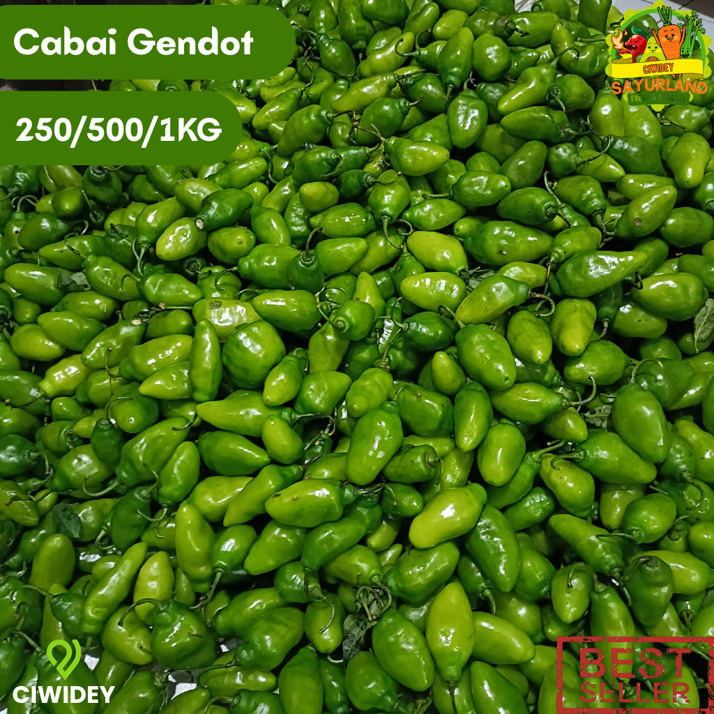 Cabe Gendot Segar 1kg Petani Lokal Ciwidey Cabe Bendot Bandung Fresh Pedas Cabe Khusus Luar Jawa