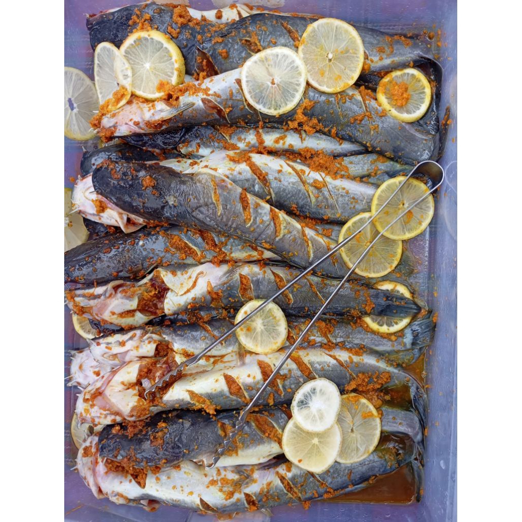 LELE MARINASI FROZEN | FROZEN FOOD | IKAN SEGAR