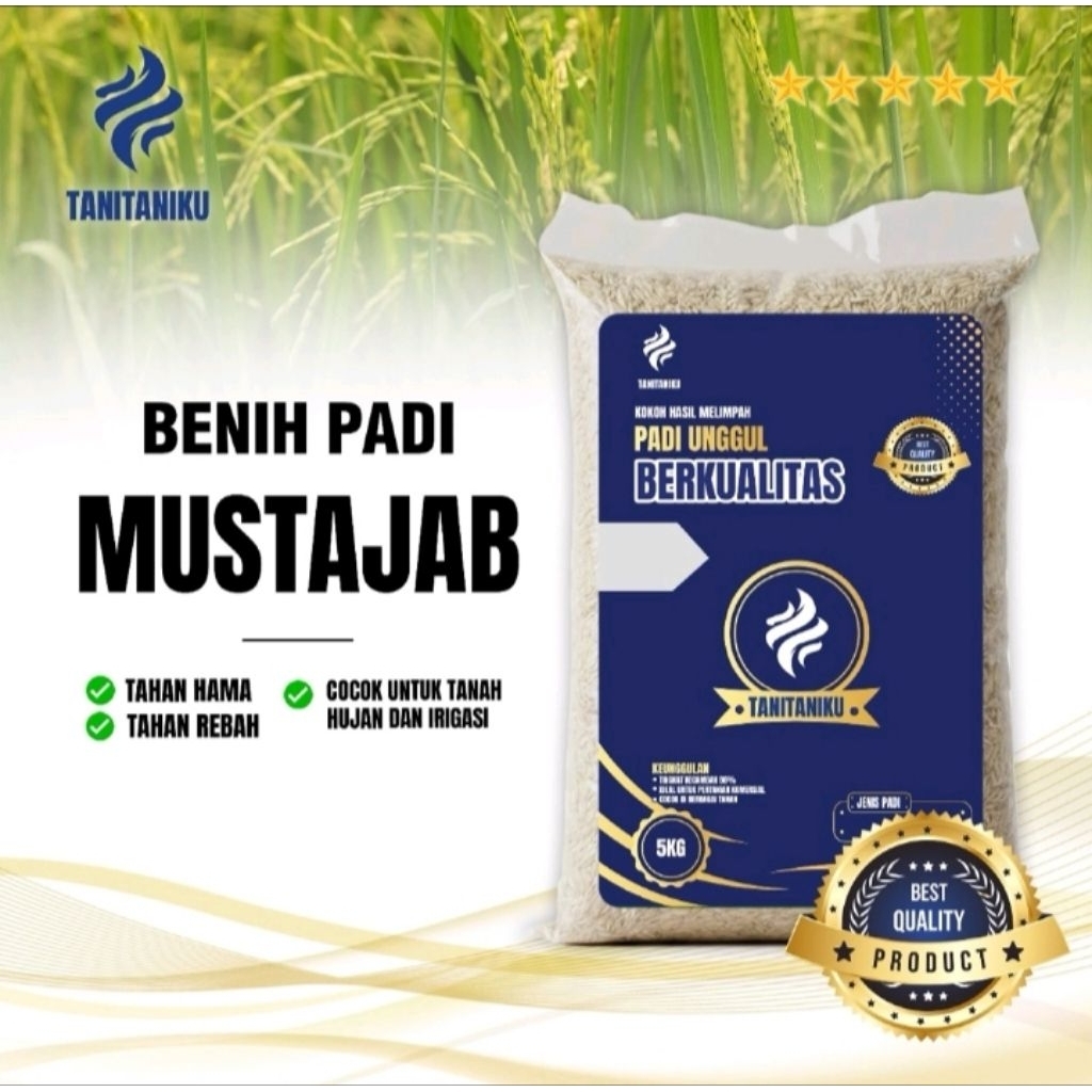 benih padi MUSTAJAB kemasan 5kg
