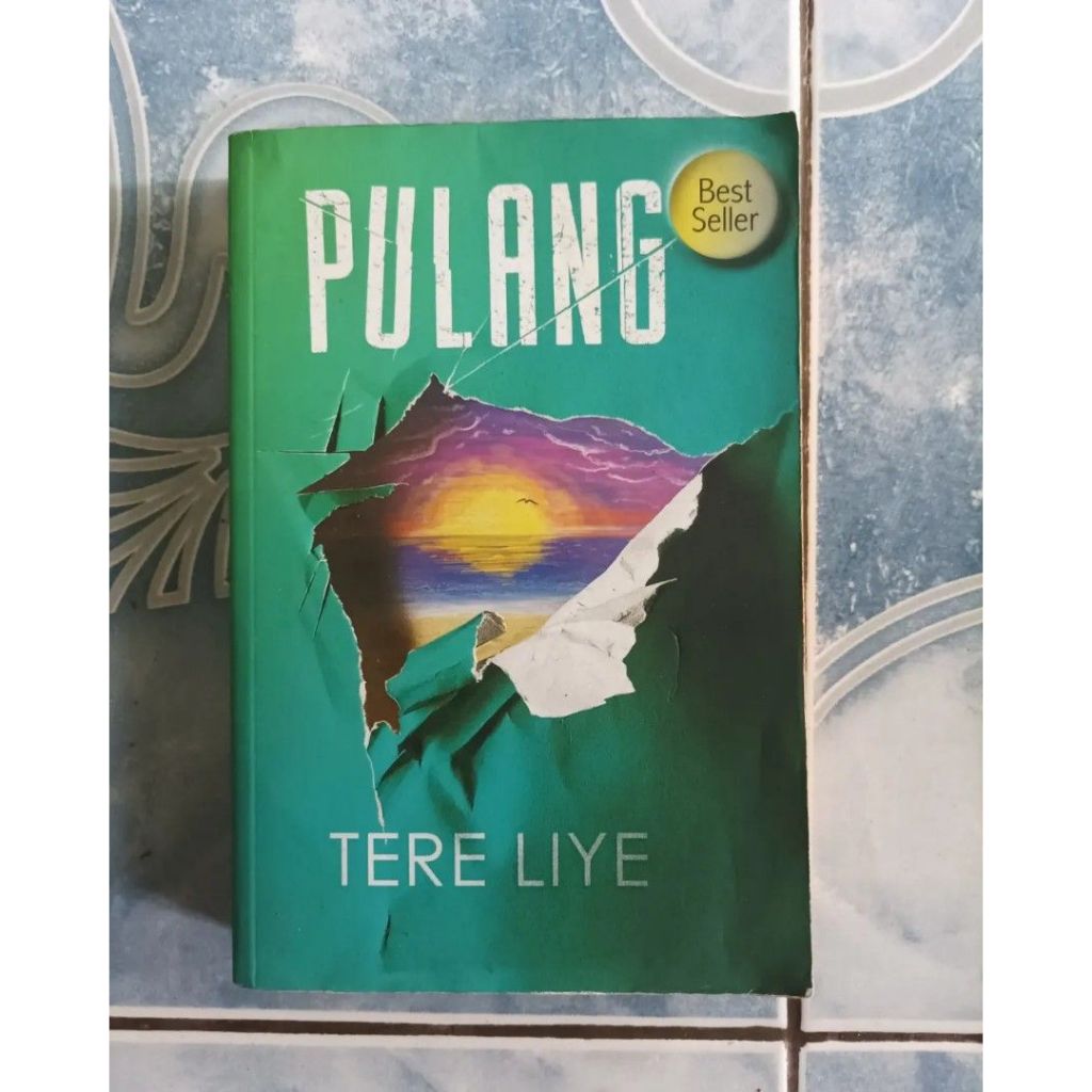 (Buku Preloved) Pulang
