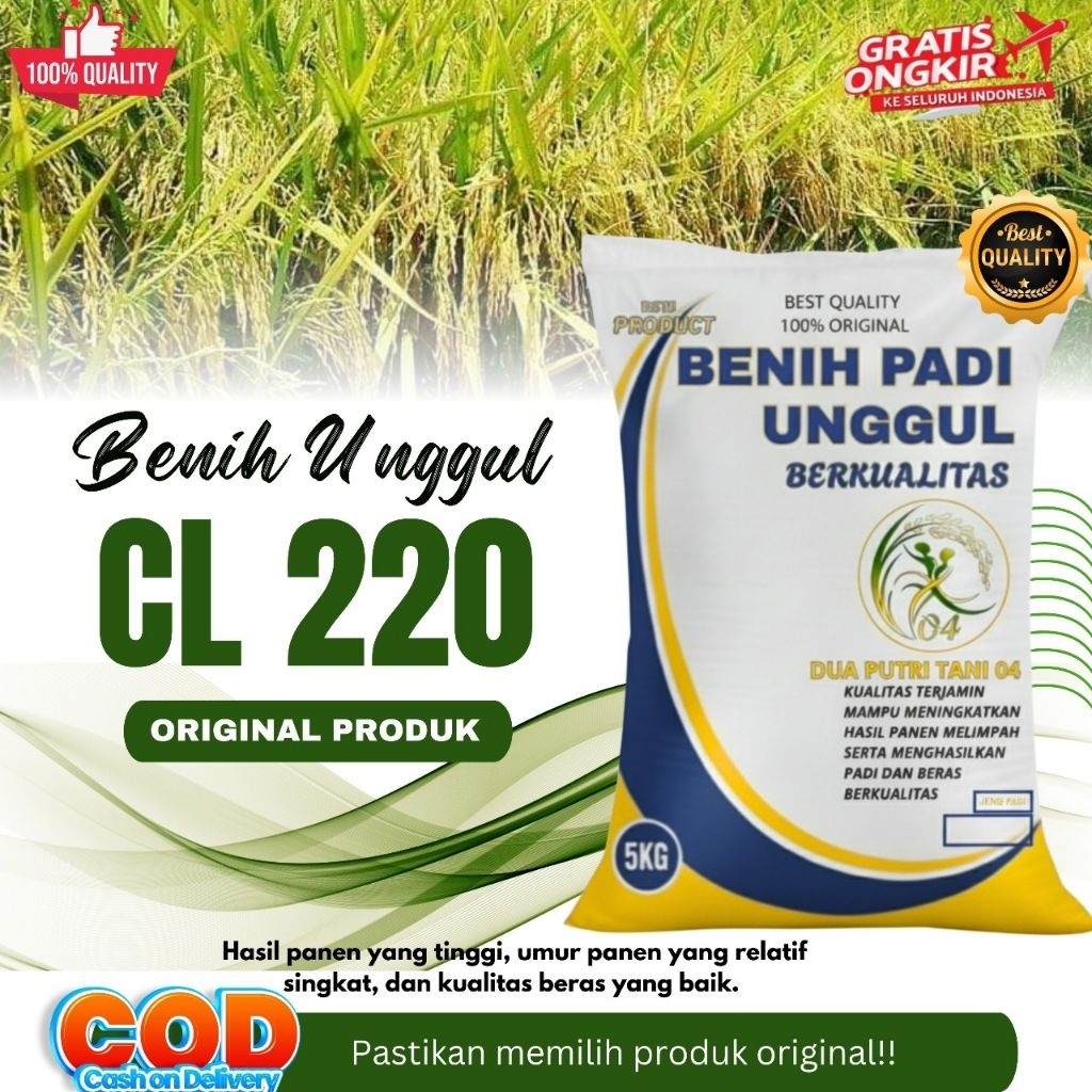 BIBIT PADI CL 220 KEMASAN 5KG