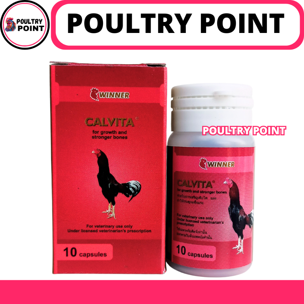 CALVITA WINNER LAGA 10 Kapsul - Obat Ayam Lumpuh & Tulang Kuat Ayam Laga Aduan Medion