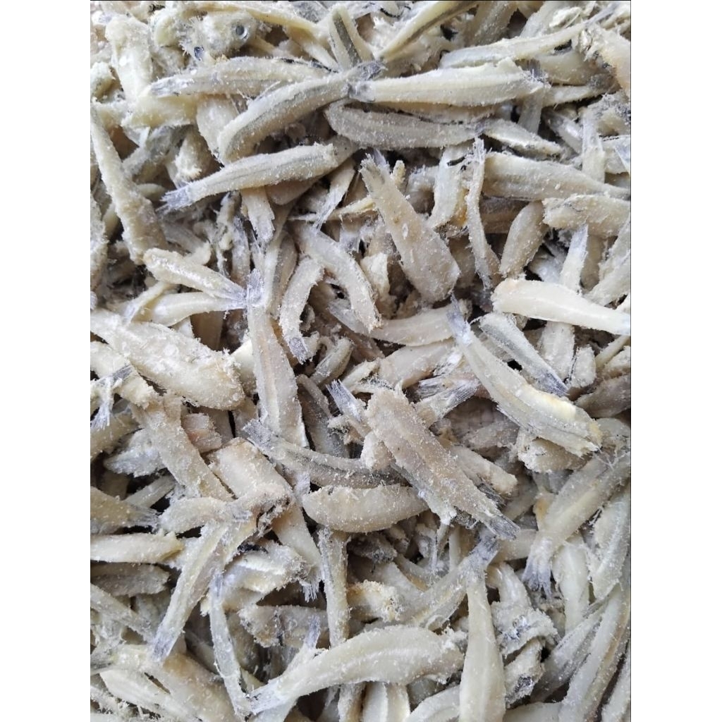 teri jengki bersih tanpa kepala