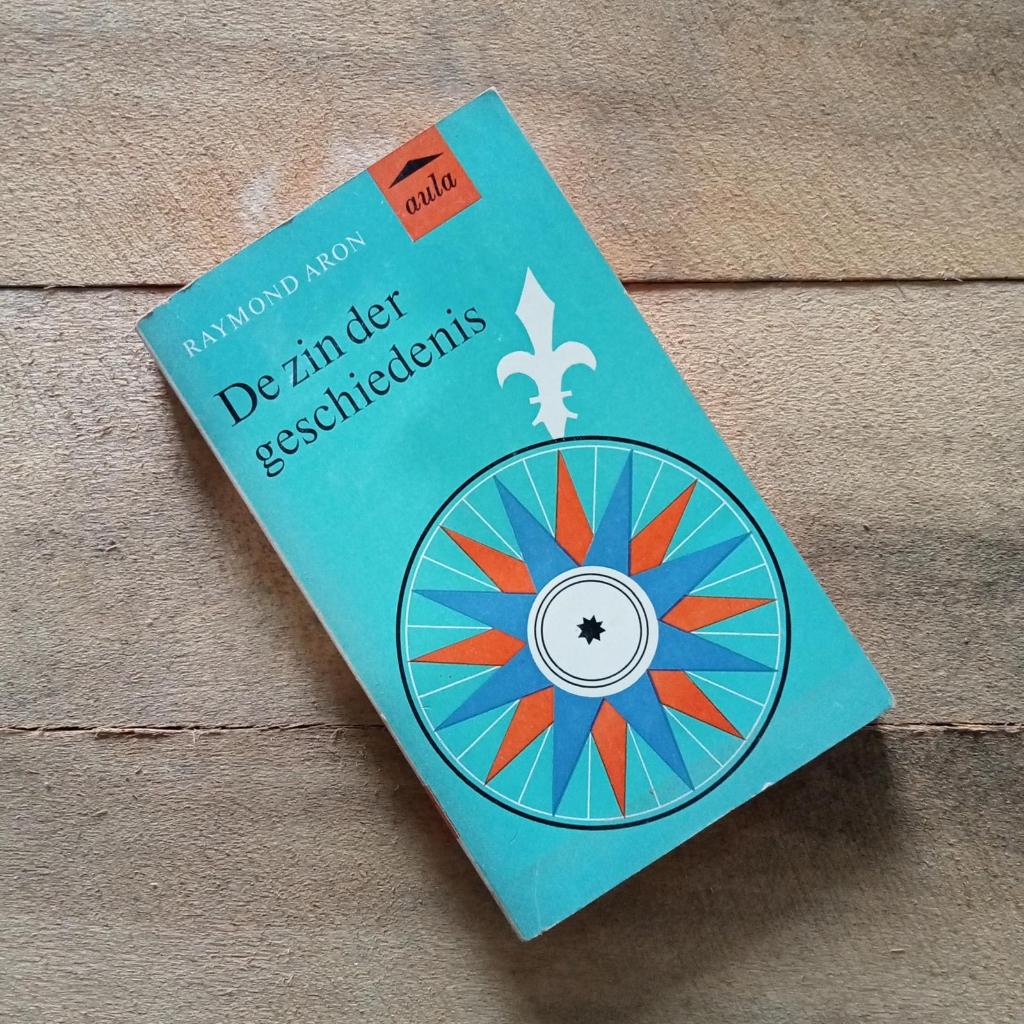 De Zin Der Geschiedenis - Raymond Aron