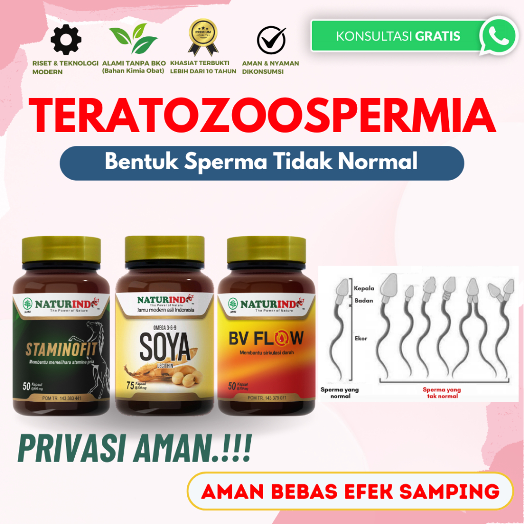 Obat Herbal Kesuburan Suami Teratozoospermia Oligospermia Asthenozoospermia Azoospermia Ampuh