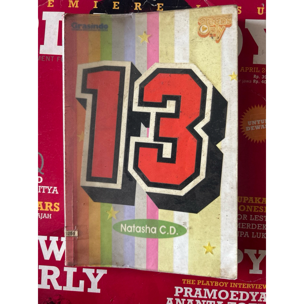 novel remaja 13 natasha CD