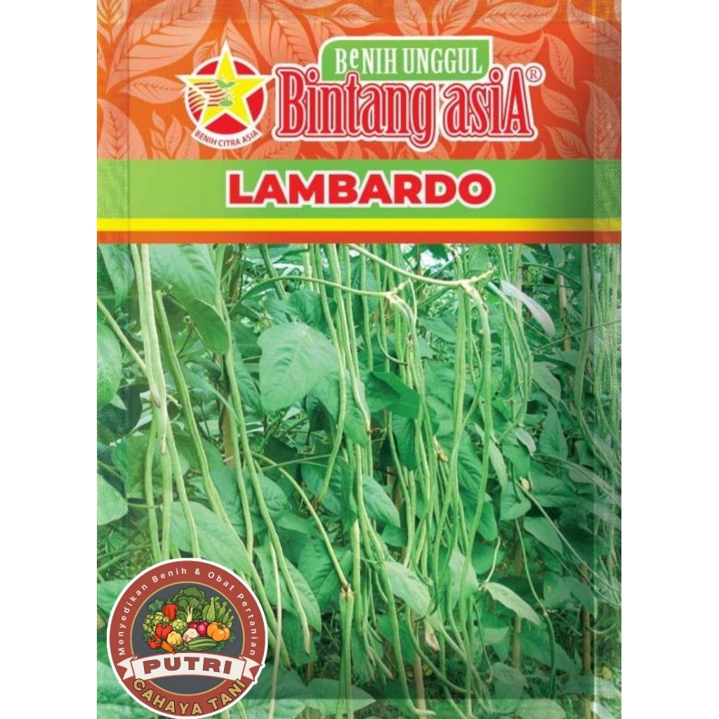 Benih Kacang Panjang LAMBARDO 500 Gram Bintang Asia