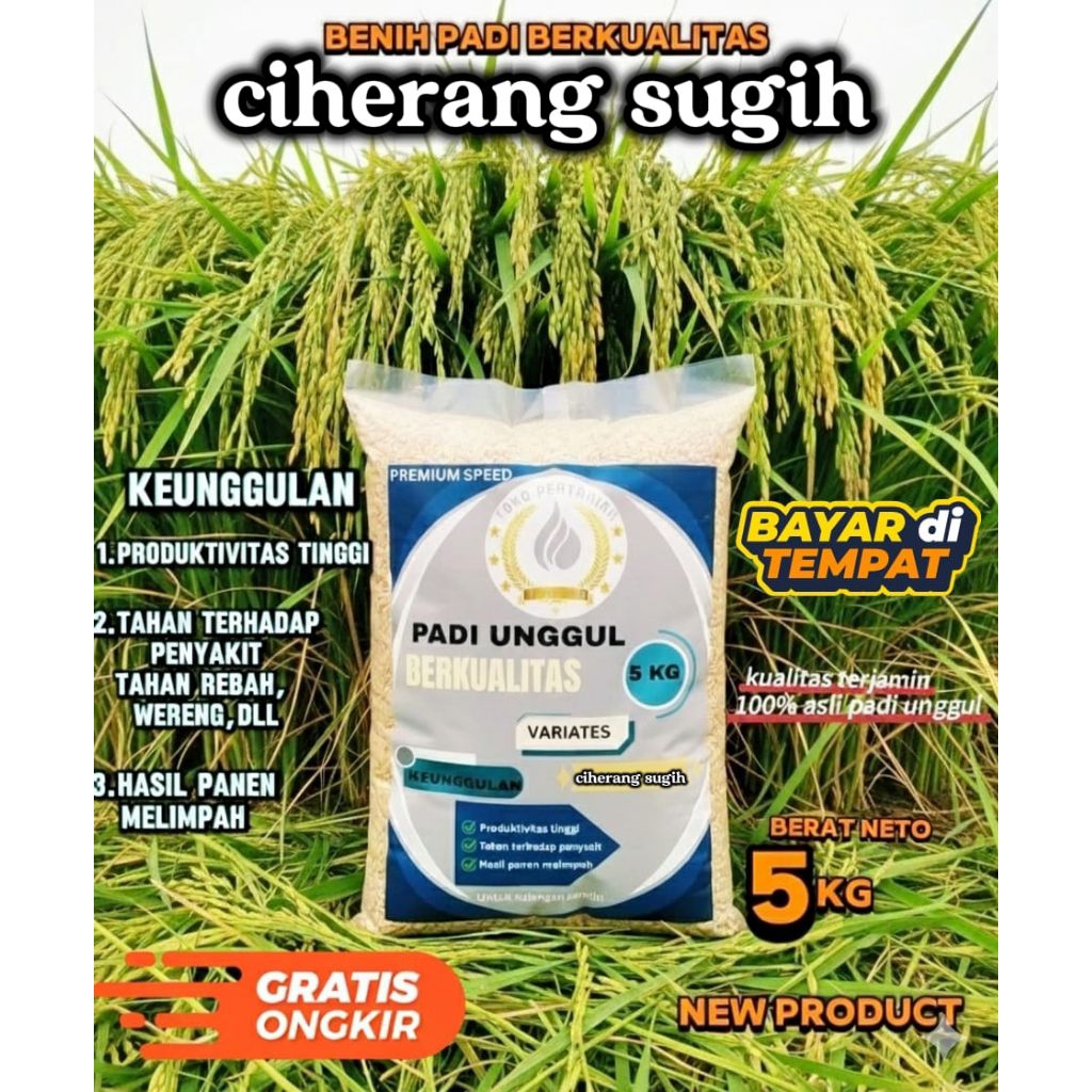 benih padi CIHERANG SUGIH 5kg 100% original
