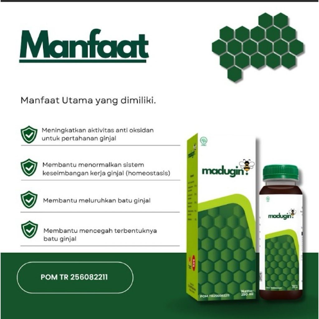 Madugin Madu Ginjal membantu meluruhkan batu ginjal