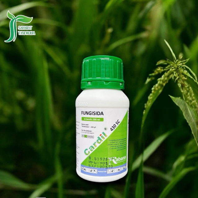 Fungisida Sistemik CARDIL 430 SC - Tebukonazol 430 % Kemasan 200ml