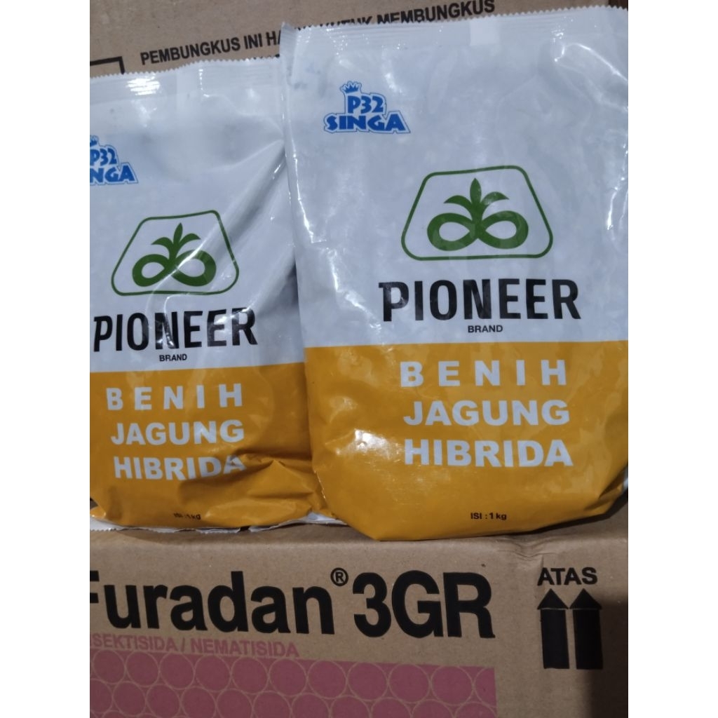 Benih Jagung PIONEER P32 SINGA 1KG
