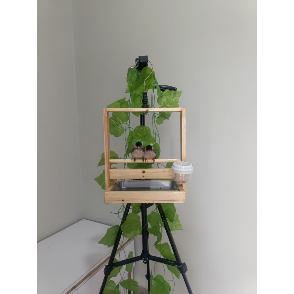 Sangkar Layang Kayu Mini Baki Aesthetic Model Polos