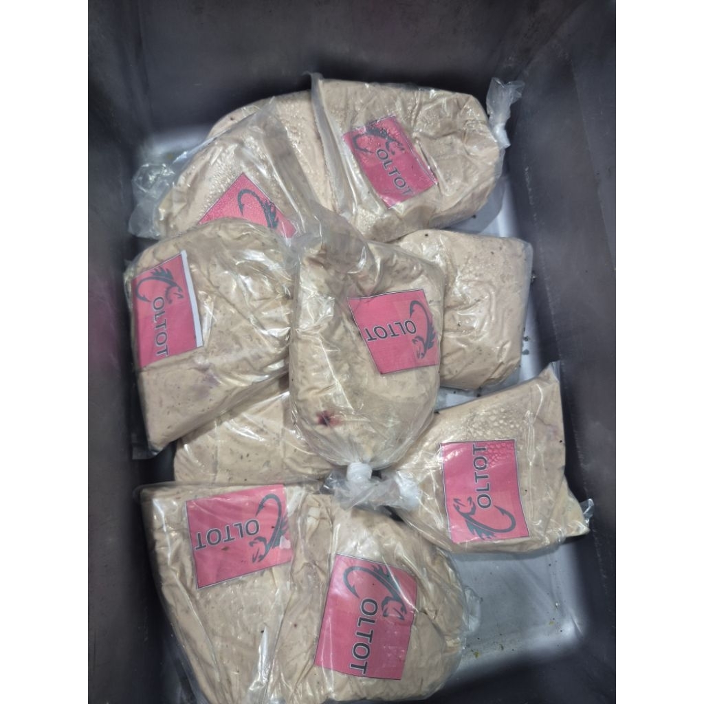 Umpan Coltot ( otot kocek ) umpan galatama lele