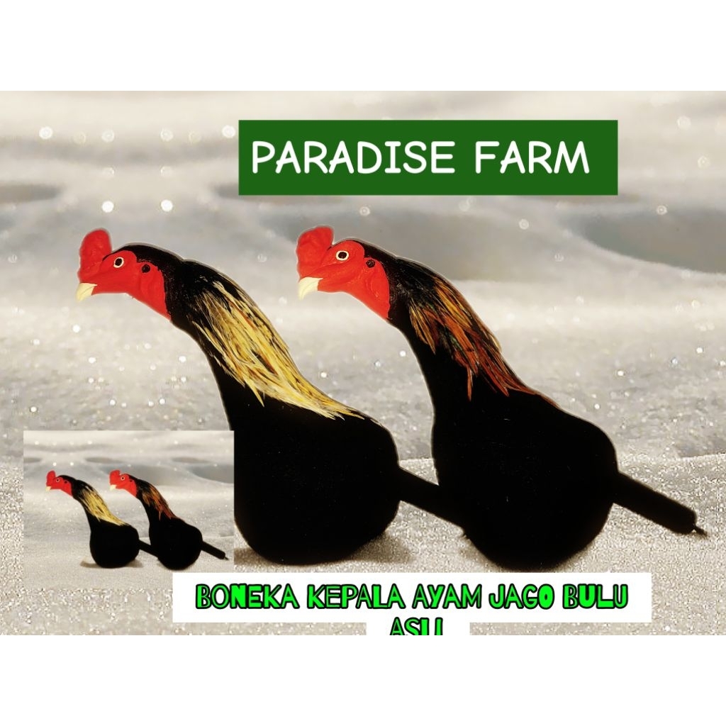 Boneka Kepala Ayam Jago Setengah Body Dengan Bulu Ayam Asli
