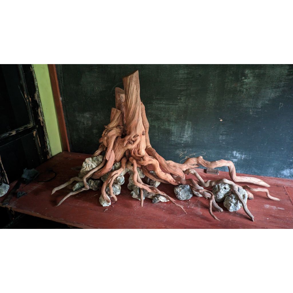 hardscape aquascape natural