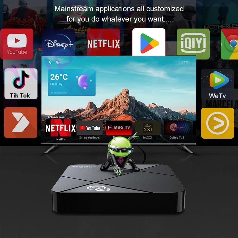 BEST DEALS TRIPSKY MINIQ3 ANDROID TV BOX 16GB RAM 256GB ROM TV BOX ANDROID 14 2.4G WIFI SMART TV BOX
