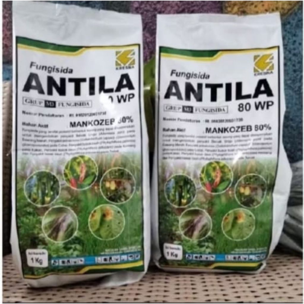 antila 1kg