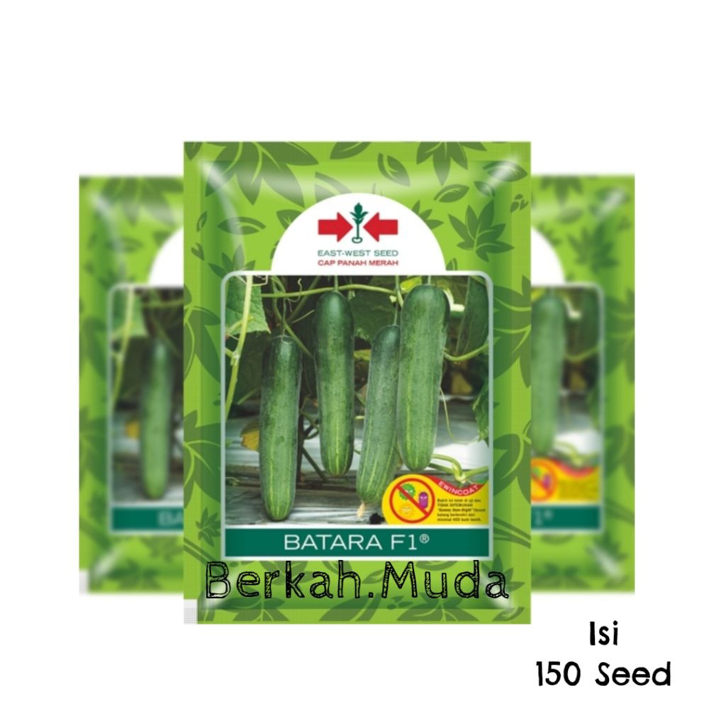 Benih Panah Merah Mentimun Batara Isi 150 Seed