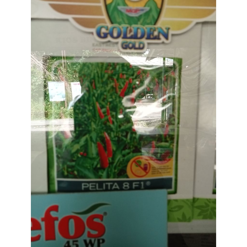 Pelita 8 F1