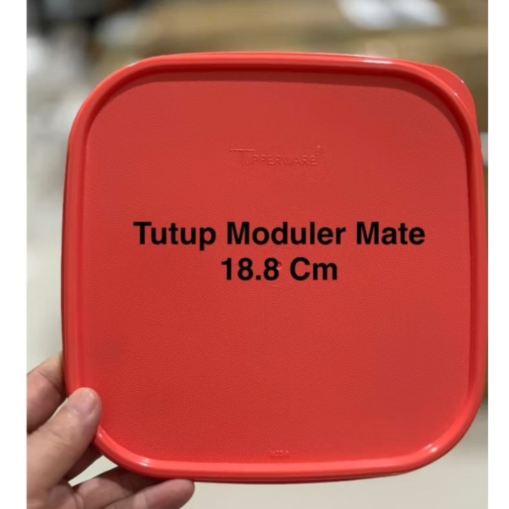 Tutup mm square Tupperware
