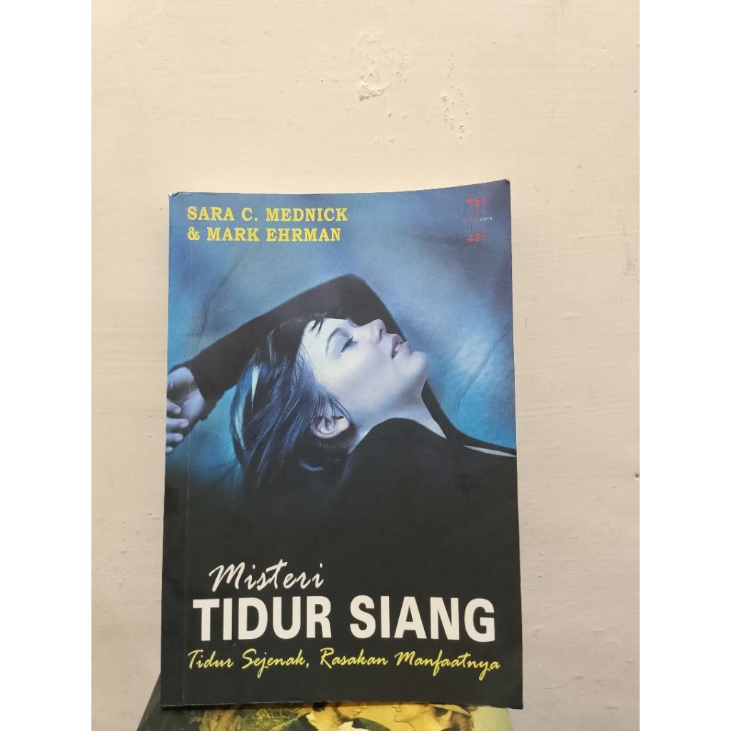 BUKU MISTERI TIDUR SIANG