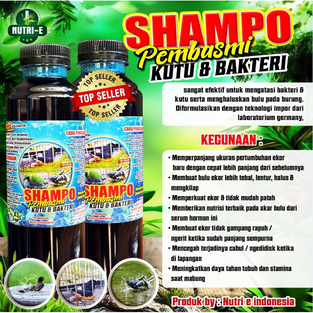 SAMPO PEMBASMI KUTU BAKTERI BURUNG