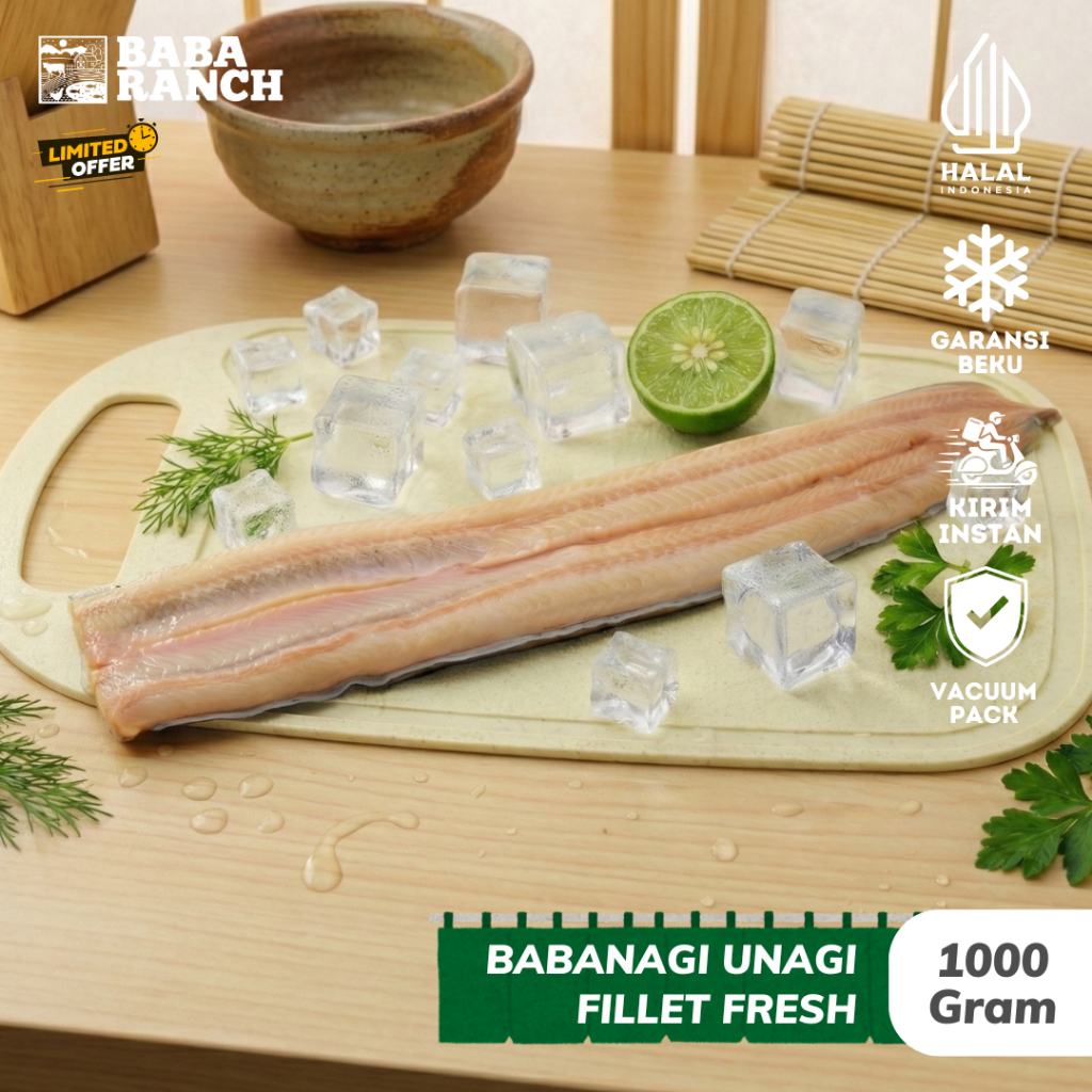 BABANAGI IKAN SIDAT UNAGI FILLET FRESH 950 GRAM - 1050 GRAM