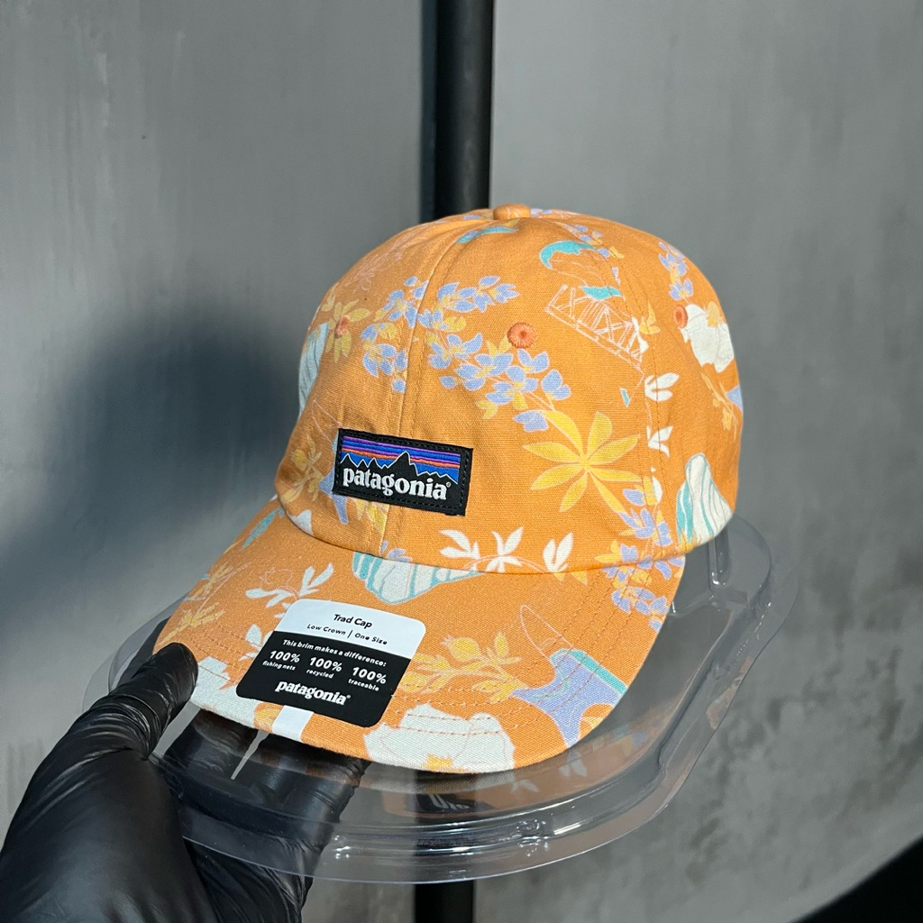 Topi patagonia P-6 Trad cap