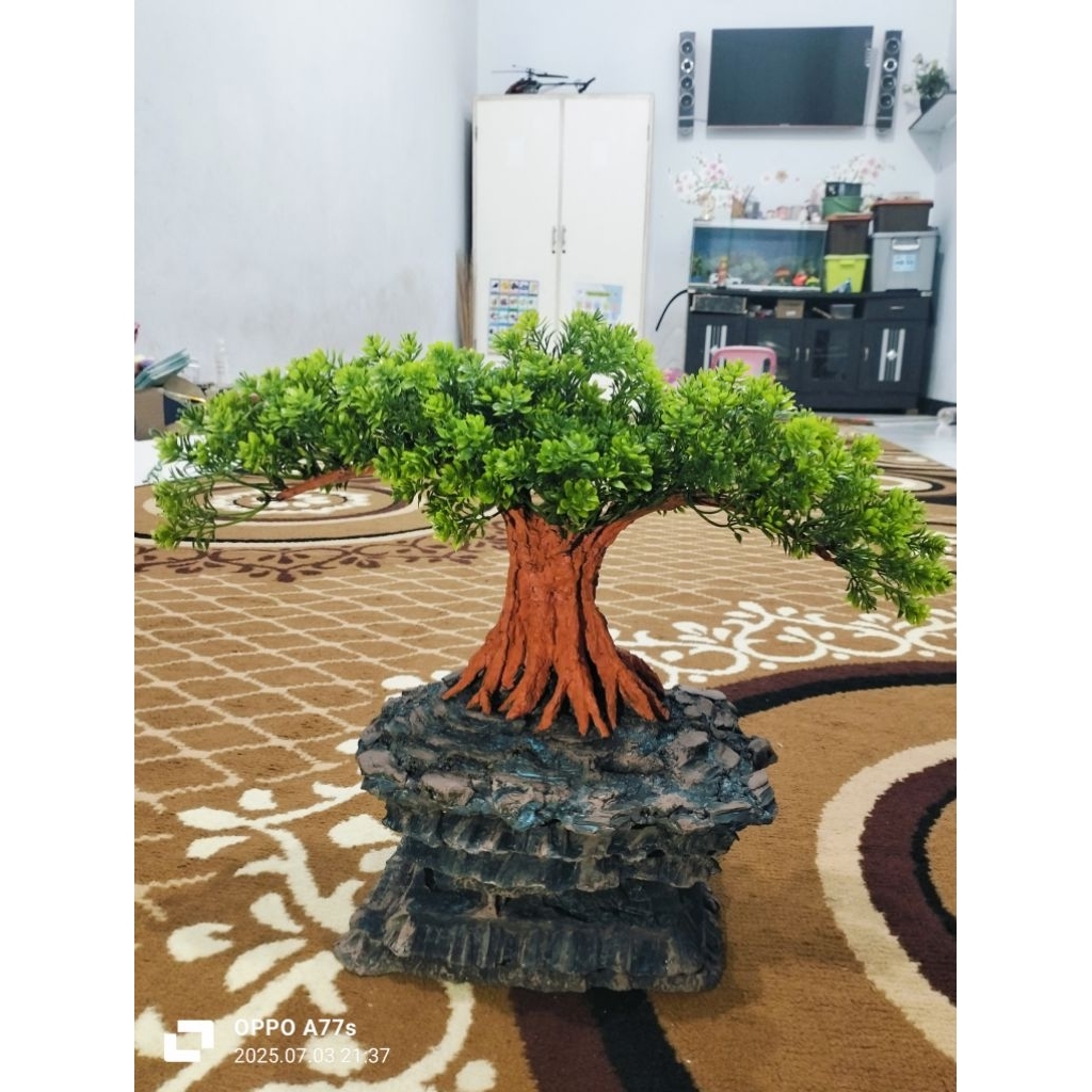 BONSAI BERINGIN BESAR