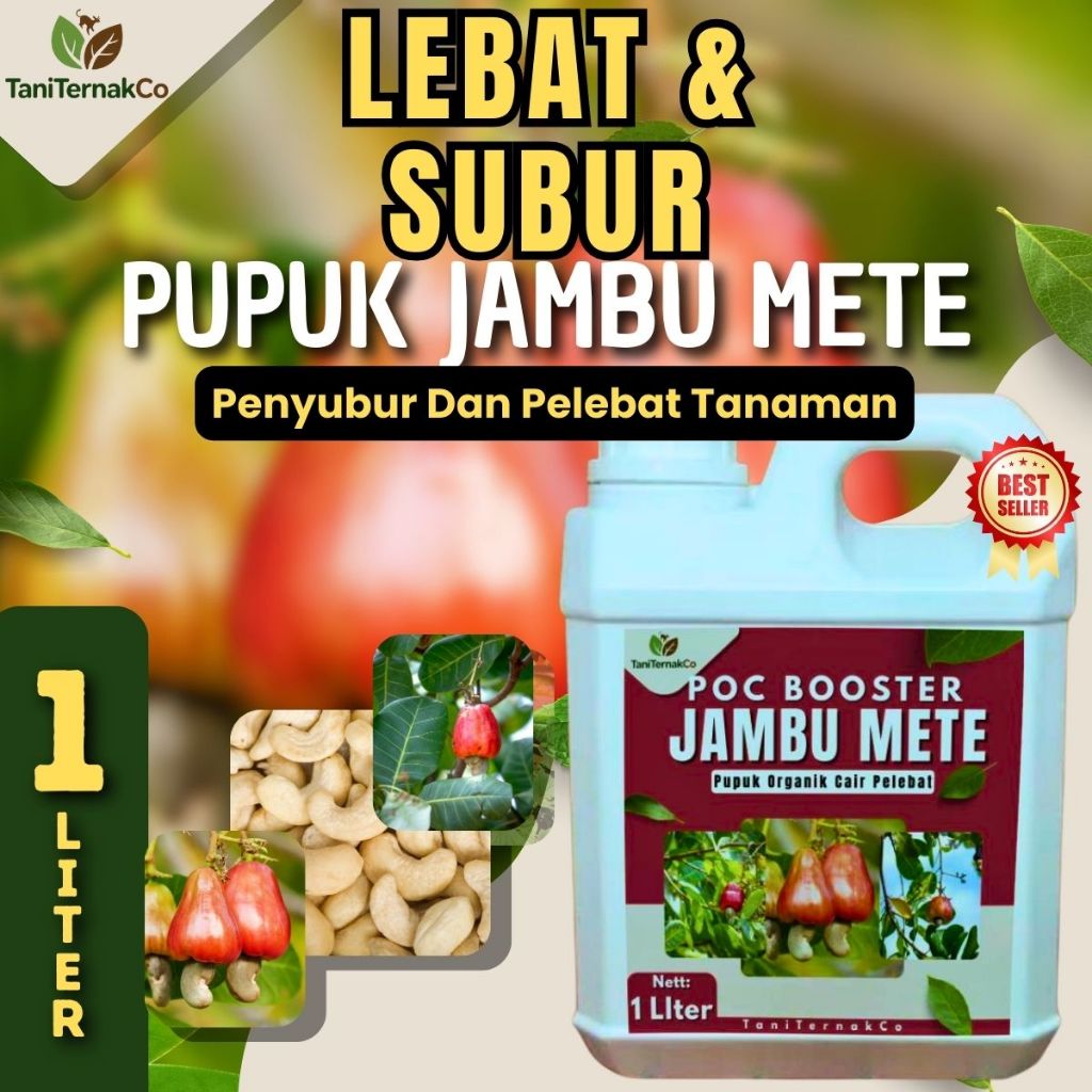 Pupuk Jambu Mete Pelebat Buah Pupuk Booster Jambu Mete Pemacu Tumbuh Bunga Dan Buah Cepat Panen
