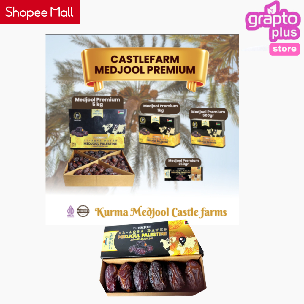 Al Aqsa Kurma Medjool Palestina Premium 250gr 500gr 1kg 5kg | Kurma Medjol Medjoul