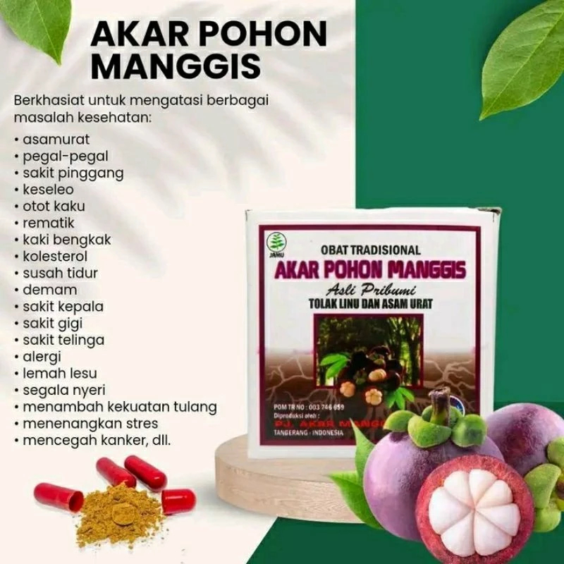 Kapsul Akar Manggis - Akar Pohon Manggis Original Untuk Sakit Pinggang