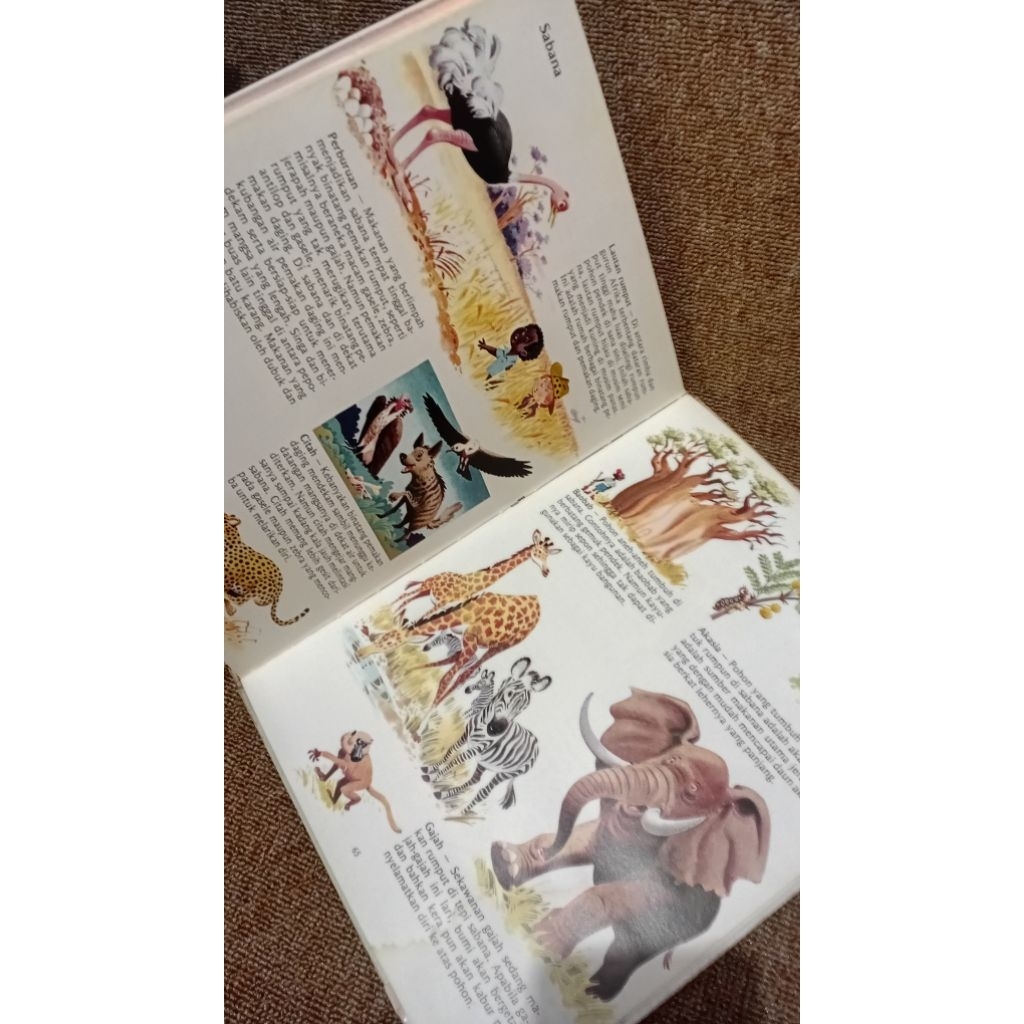 Mari Menelusuri Alam Lingkungan Tony Wolf