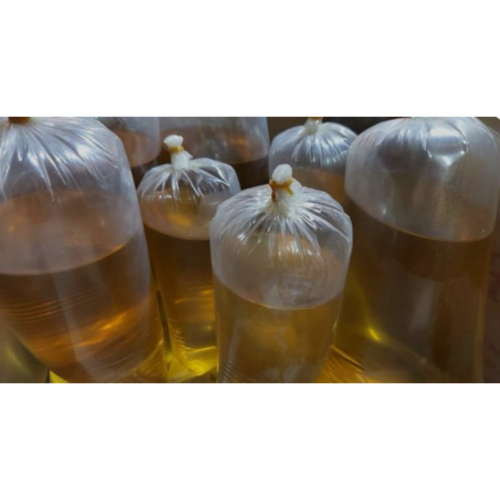 Minyak Goreng Curah Kemasan 1kg Berkualitas dan Jernih