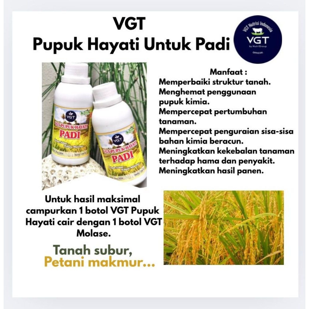 VGT Pupuk hayati untuk padi 250ML Pupuk organik pupuk cair