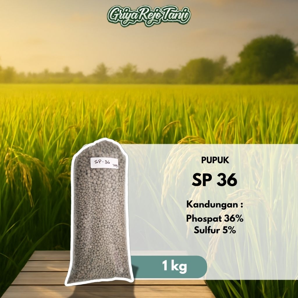 pupuk TSP/SP 36 kemasan 1kg