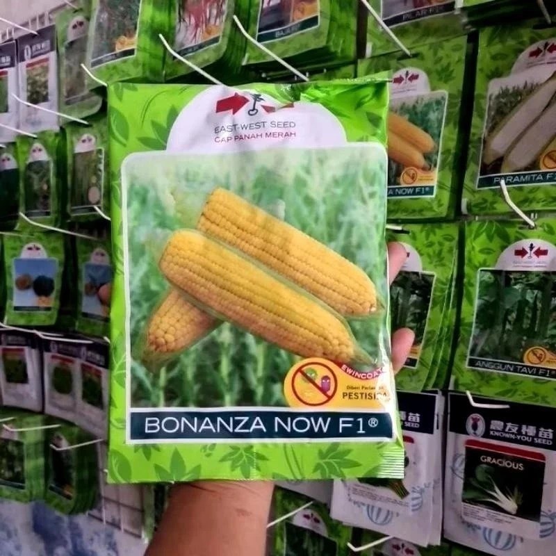BONANZA BIBIT UNGULAN TERLARIS>>>// Super F1 1.750 Butir Jagung Manis New Bonanza.