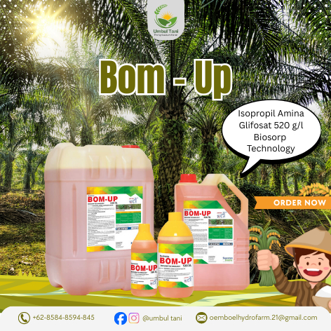 Bom UP 520SL Herbisida Sistemik  BIOSORB TECHNOLOGY