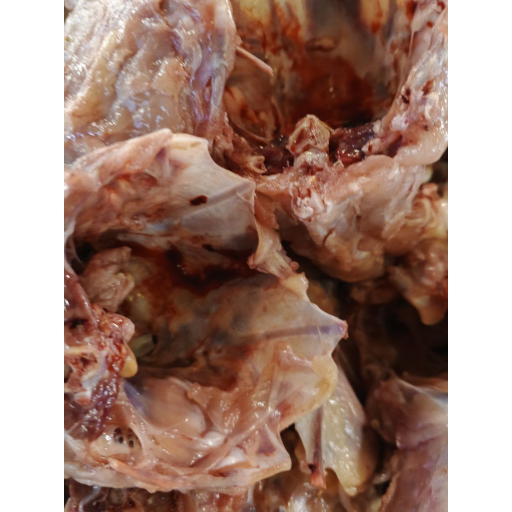 Tulang dada ayam giling 1kg Palembang