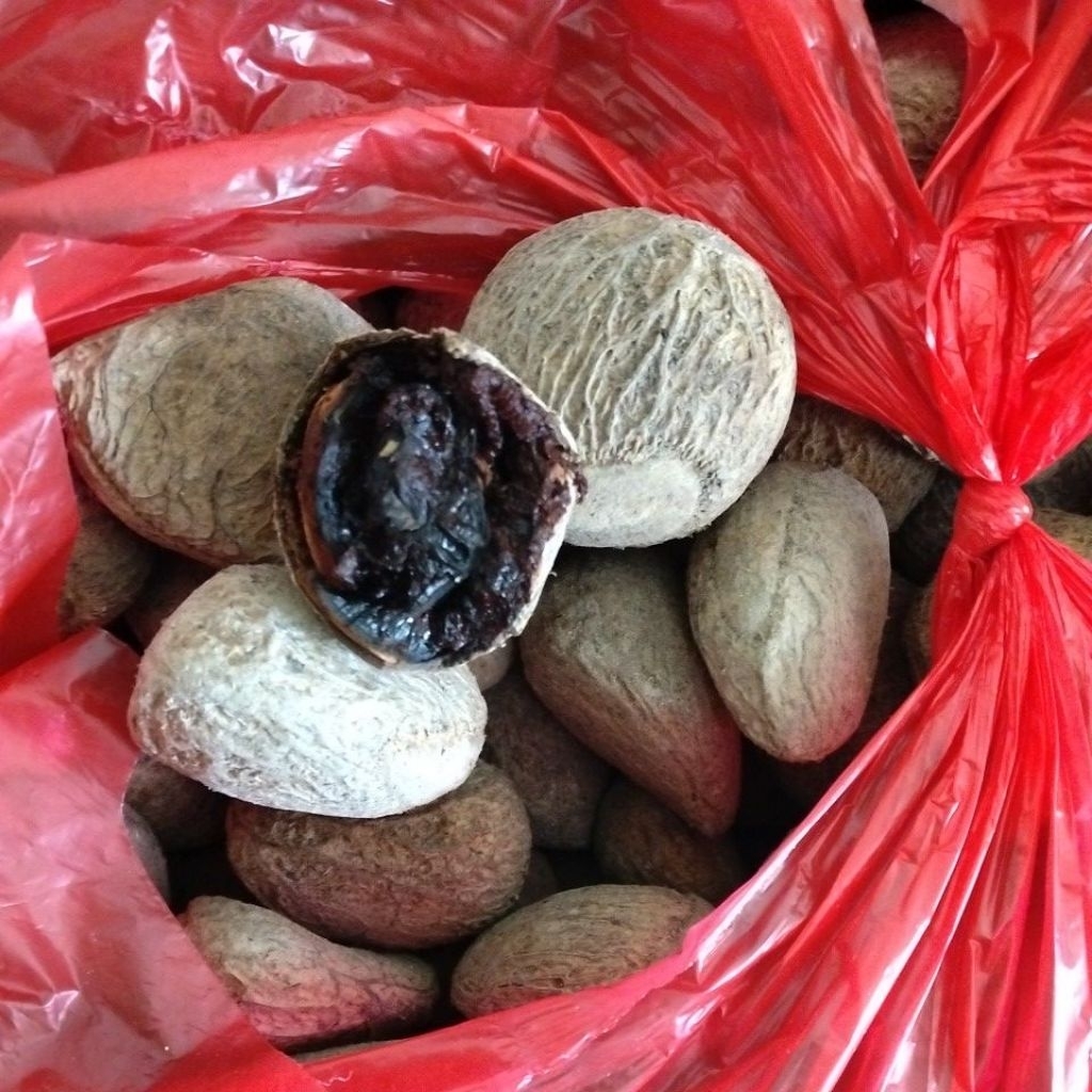 kluwak/keluwek/ bumbu dasar rawon
