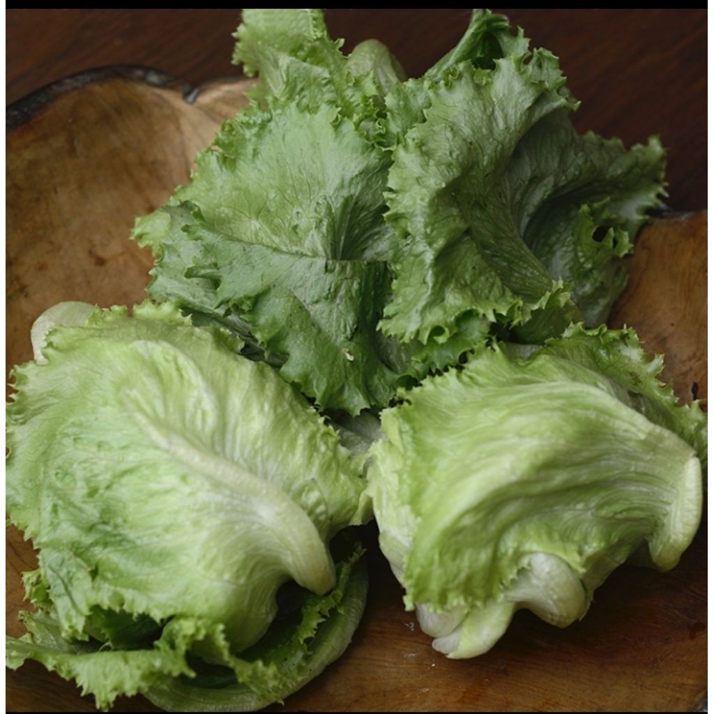 Lettuce Iceberg
