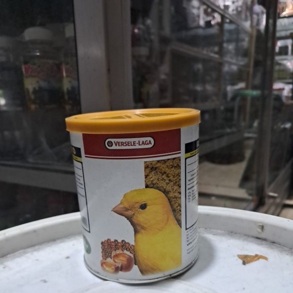 GOLD PATEE VERSELE-LAGA