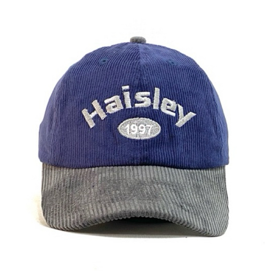 Haisley caps baseball Topi distro polo caps original