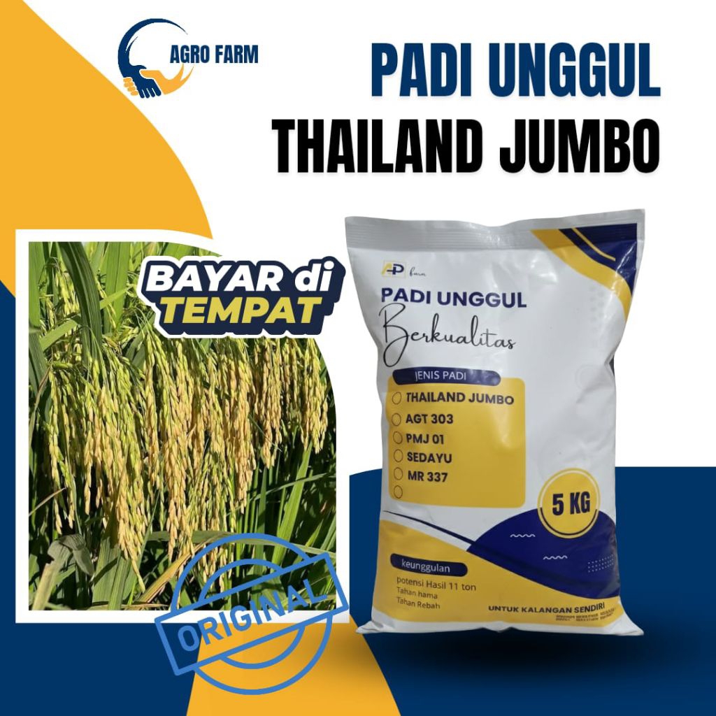 BIBIT BENIH PADI THAILAND JUMBO BERKUALITAS 5KG ORIGINAL BIBIT PADI UNGGUL TANI MAKMUR